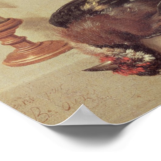 Nog steeds levenslange dode vogels en een muis, 17 poster (Hoek)