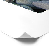 Nog steeds met Teeth Poster (Hoek)