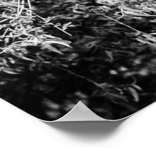 nog steeds poster thuis (Hoek)