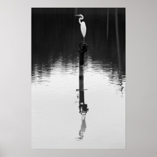 Nog steeds reflectie poster