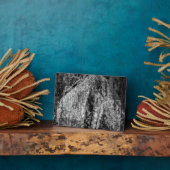 nog steeds thuis fotoplaat (Zijkant)