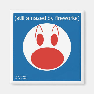 Nog steeds verbaasd over vuurwerk magneet