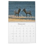 Nog steeds zwervend 2013 kalender (Feb 2027)