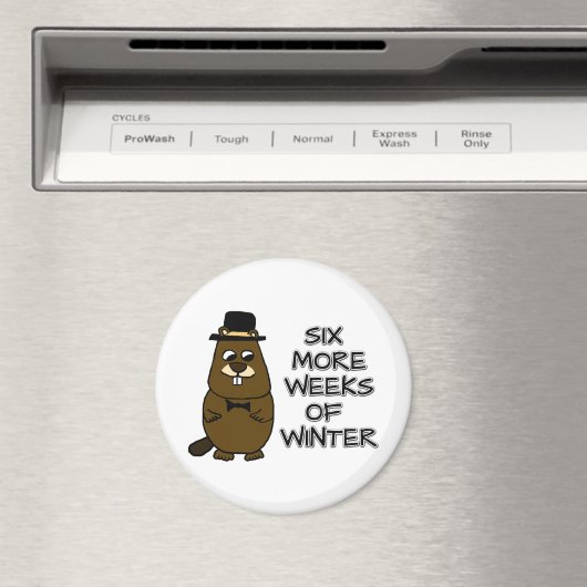 Nog zes weken winter magneet (Insitu (Vaatwasser))
