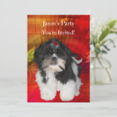 Nogmaals de Birthday Party Shih Tzu op Abstract ro Kaart (Staand voorkant)