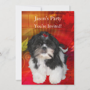 Nogmaals de Birthday Party Shih Tzu op Abstract ro Kaart