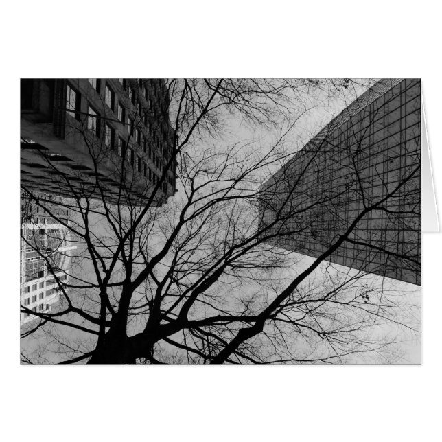 Noir City (Voorkant Horizontaal)