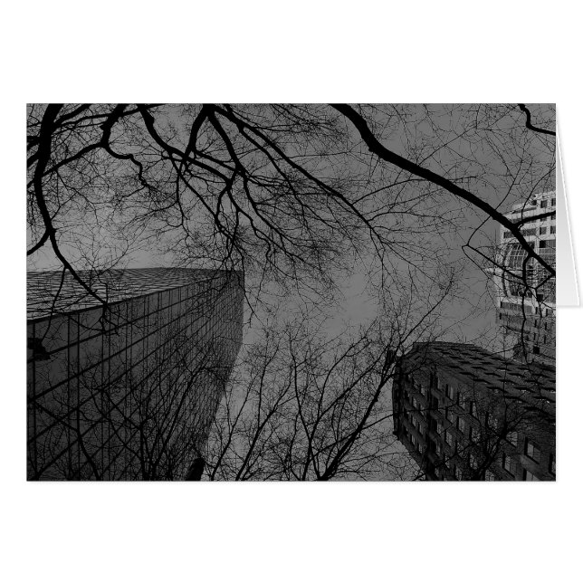 Noir City (Voorkant Horizontaal)