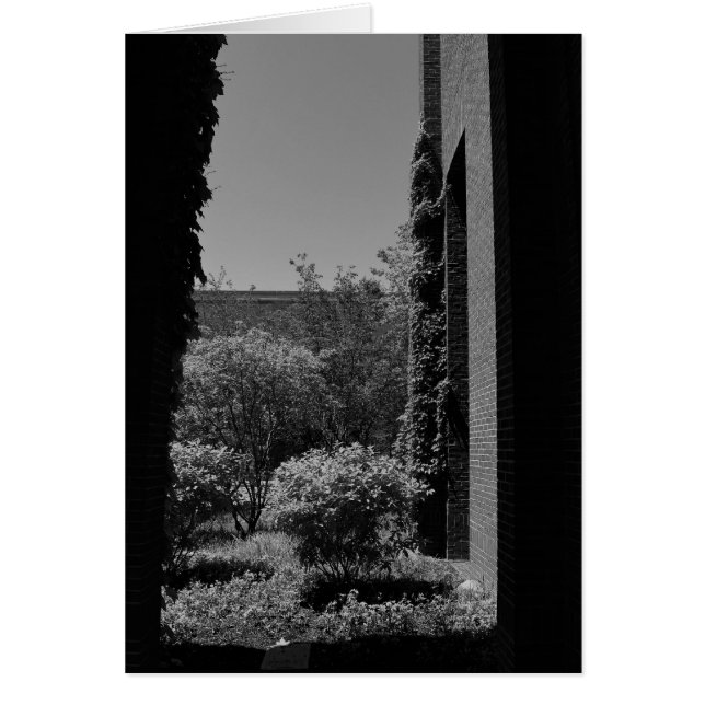 Noir City (Voorkant)