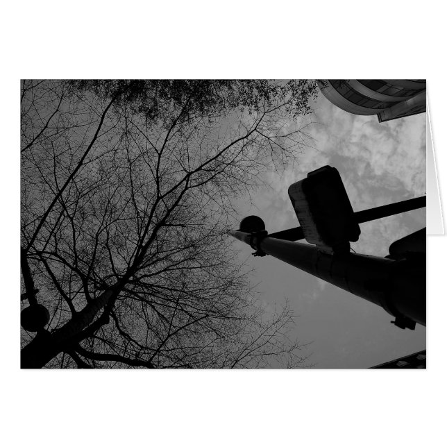 Noir City (Voorkant Horizontaal)