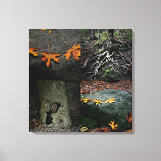 Nojoqui Herfsten Park Canvas Afdruk