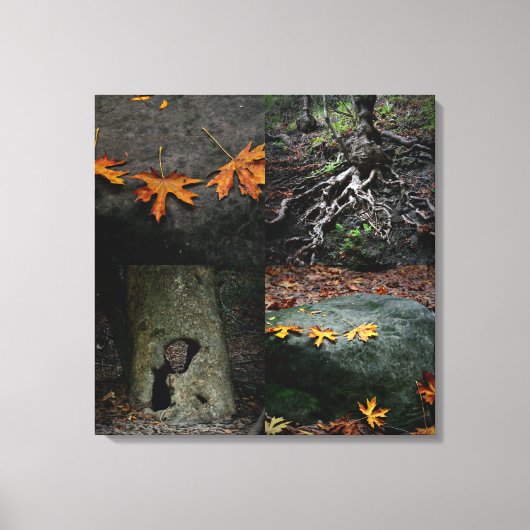 Nojoqui Herfsten Park Canvas Afdruk (Voorkant)