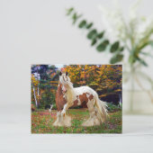 "Nokomis" Briefkaart (Staand voorkant)