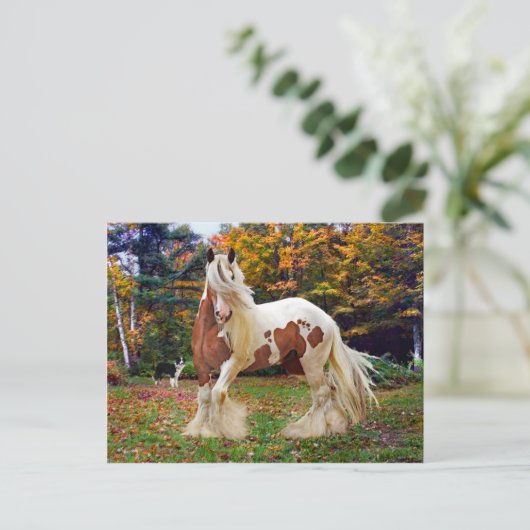 "Nokomis" Briefkaart (Staand voorkant)