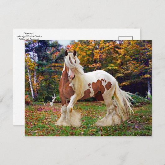 "Nokomis" Briefkaart (Voorkant / Achterkant)