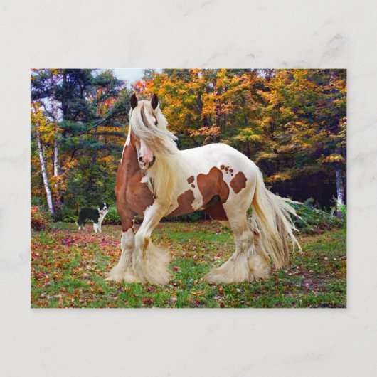 "Nokomis" Briefkaart (Voorkant)