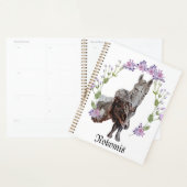 Nokomis Planner (Display)