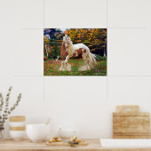 "Nokomis" Poster (Keuken)