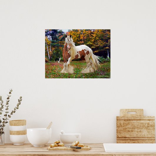 "Nokomis" Poster (Keuken)