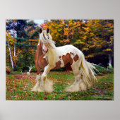 "Nokomis" Poster (Voorkant)