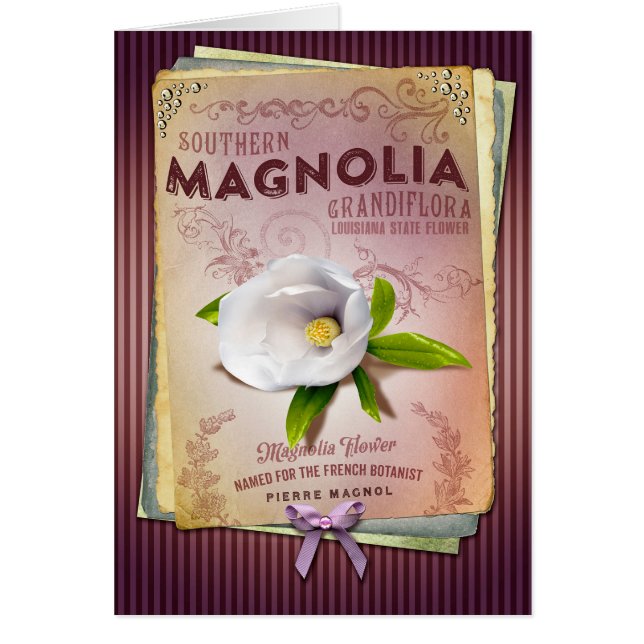 NOLA Collectie Louisiana Magnolia Flower Art (Voorkant)