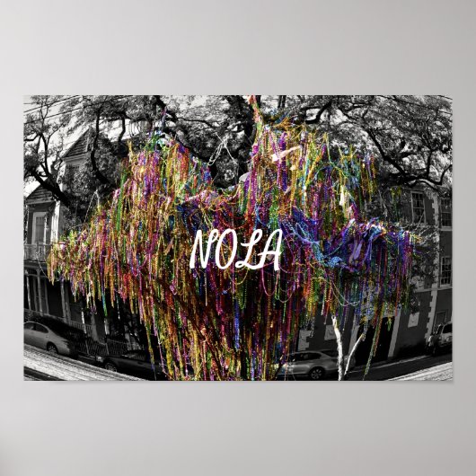NOLA Mardi Gras Beaded Tree - New Orleans Poster (Voorkant)