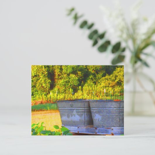 Nola's Tubs Briefkaart (Staand voorkant)