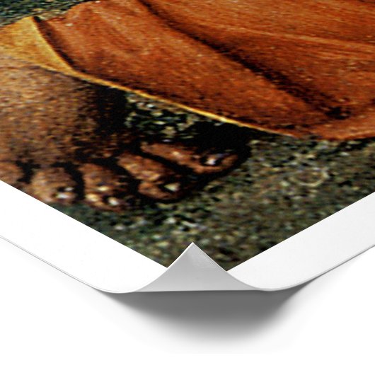 Noli Mi Tangere door Franciabigio Poster (Hoek)