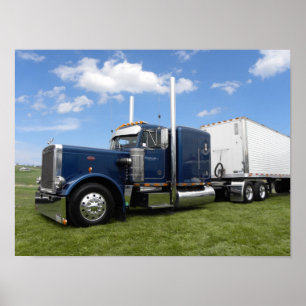 Nolt's 359 (natuurlijke kleur) poster