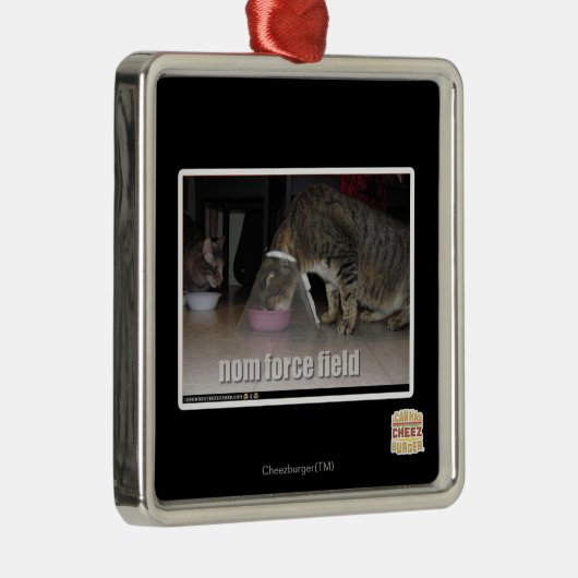 nom force field metalen ornament (Rechts)