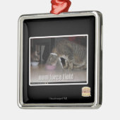 nom force field metalen ornament (Links)