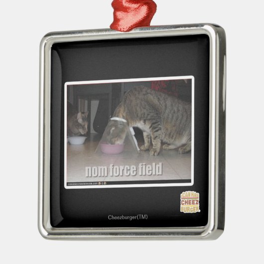 nom force field metalen ornament (Links)