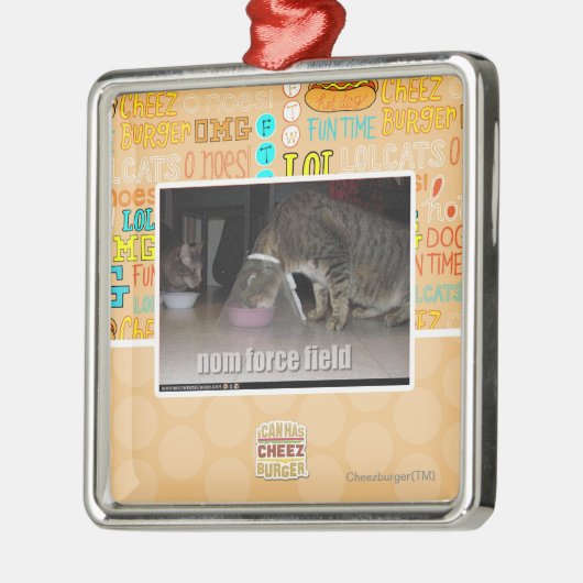 nom force field metalen ornament (Links)