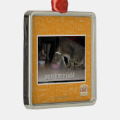 nom force field metalen ornament (Rechts)