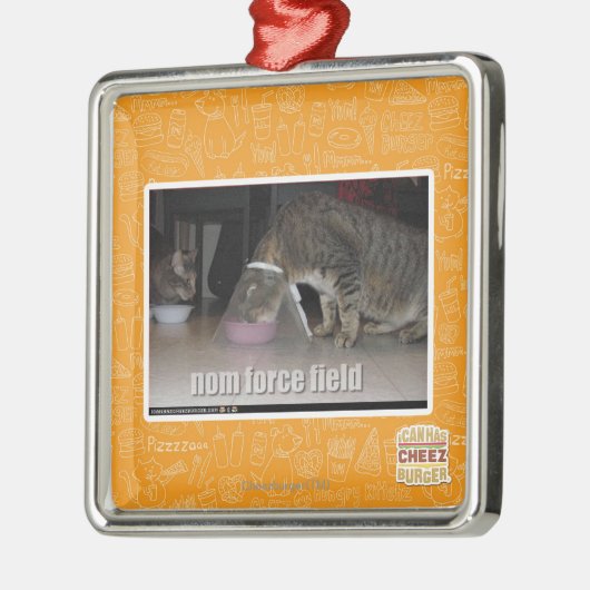 nom force field metalen ornament (Links)