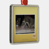 nom force field metalen ornament (Rechts)