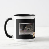 nom force field mok (Links)