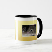 nom force field mok (Voorkant rechts)