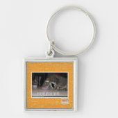 nom force field sleutelhanger (Voorkant)