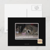 nom krachtgebied briefkaart (Voorkant / Achterkant)