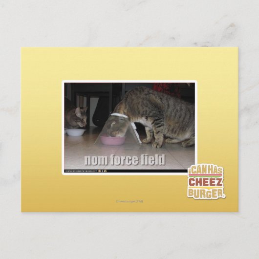 nom krachtveld briefkaart (Voorkant)