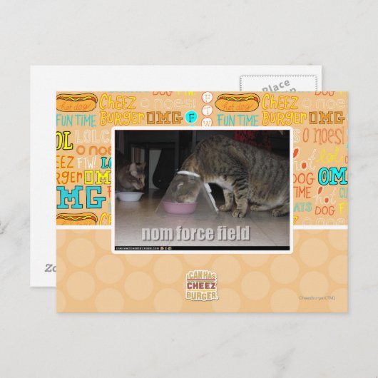 nom krachtveld briefkaart (Voorkant / Achterkant)