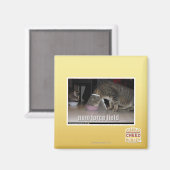 nom krachtveld magneet (Voorkant / Achterkant)