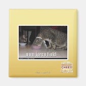 nom krachtveld magneet (Voorkant)