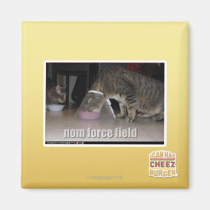 nom krachtveld magneet