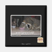 nom krachtveld magneet (Voorkant)