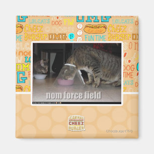 nom krachtveld magneet