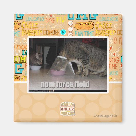 nom krachtveld magneet (Voorkant)