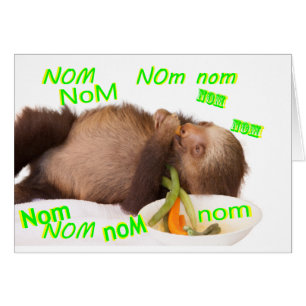 nom nom nom sloth