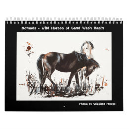 Nomads - Sand Wash Basin Wilde Paarden Kalender